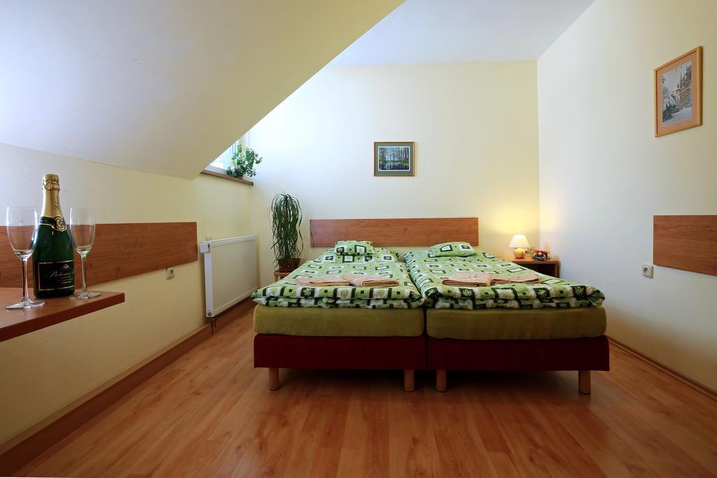 Wellness Penzion Pod Rozhlednou Kostelec nad Orlicí Szoba fotó