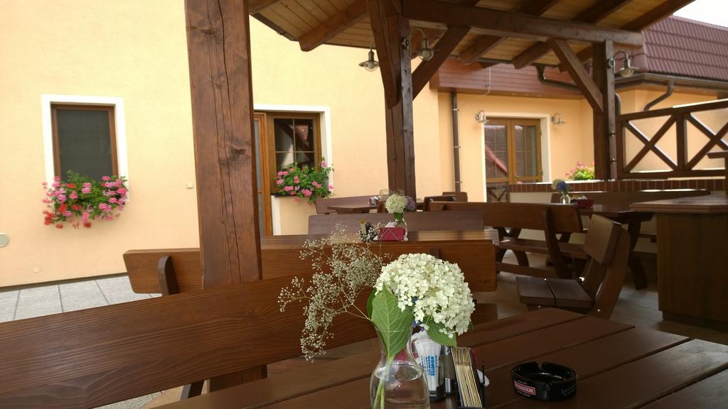 Wellness Penzion Pod Rozhlednou Kostelec nad Orlicí Kültér fotó