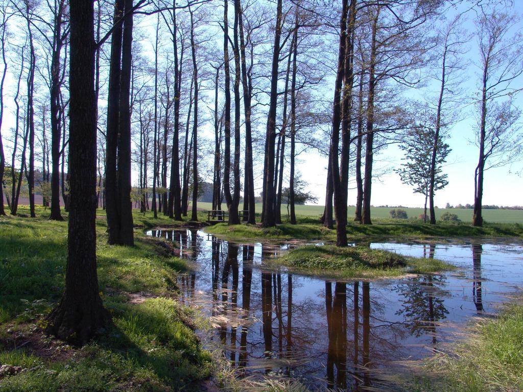 Wellness Penzion Pod Rozhlednou Kostelec nad Orlicí Kültér fotó